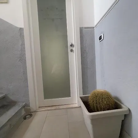 Center فندق مبيت وإفطار تروبيا