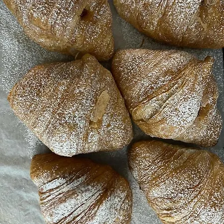 فندق مبيت وإفطار Center تروبيا